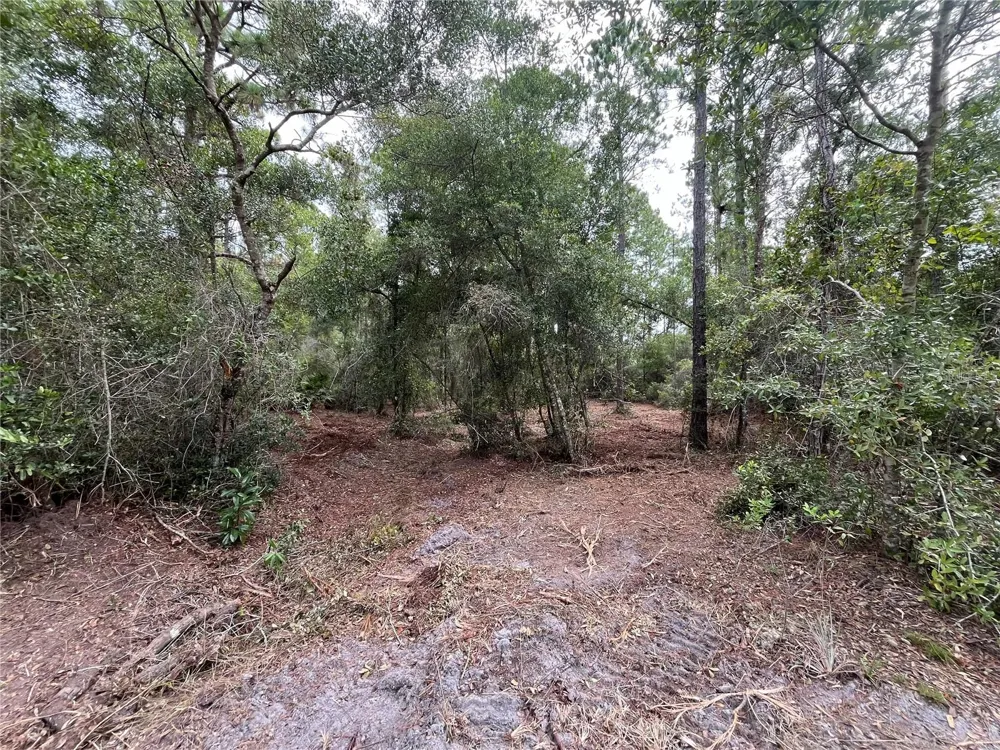 124 GLENSIDE STREET Georgetown, FL 32139