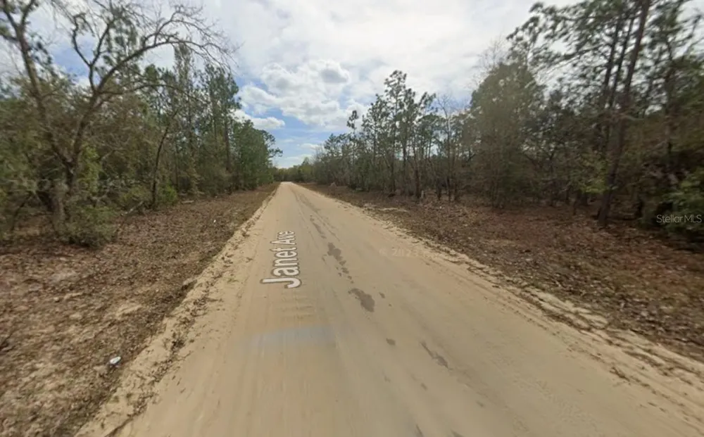 LOT 28 JANET AVENUE Interlachen, FL 32148