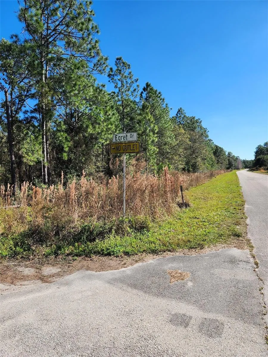 EGRET DRIVE Frostproof, FL 33843