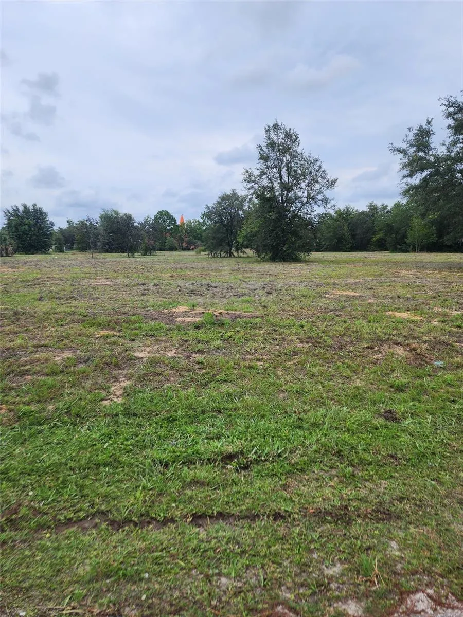 4975 E TRISS STREET Inverness, FL 34452