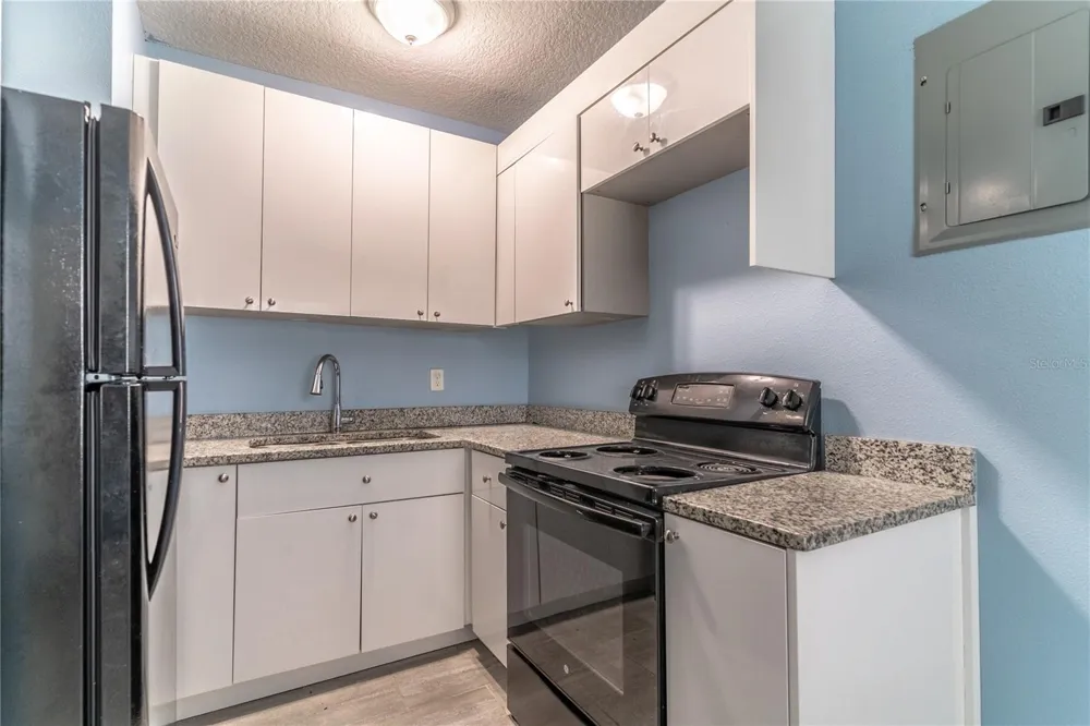 1207 W CYPRESS STREET Orlando, FL 32805