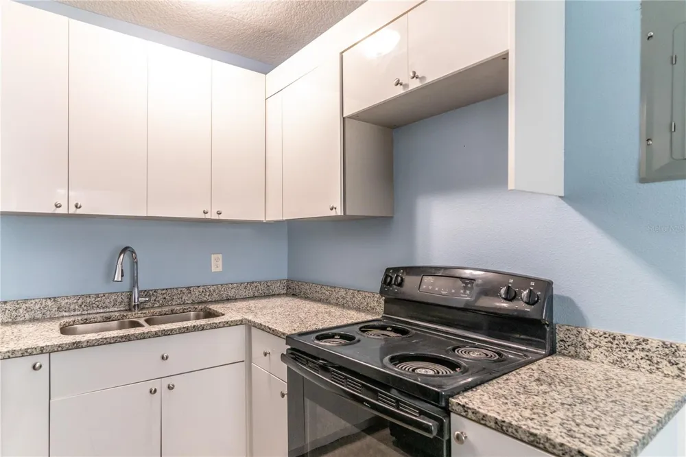 1207 W CYPRESS STREET Orlando, FL 32805