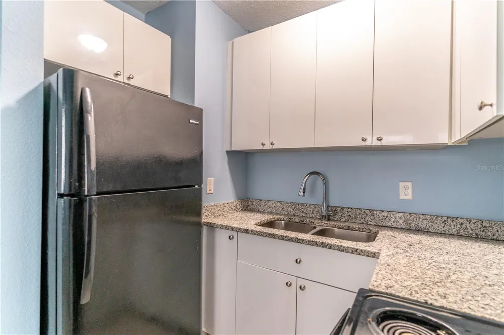 1207 W CYPRESS STREET Orlando, FL 32805