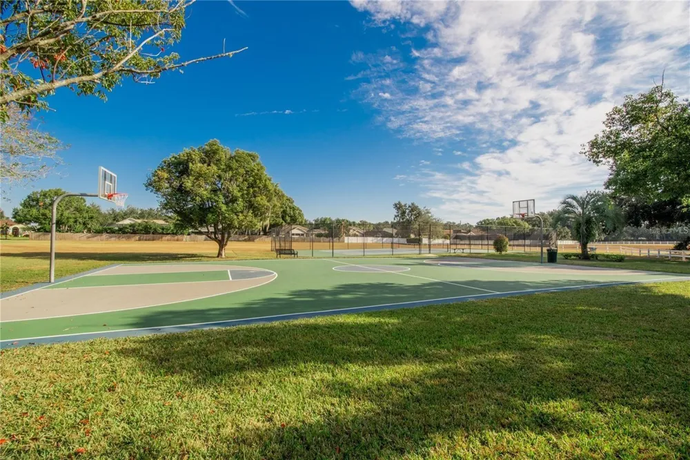 4810 WATER LARK WAY Valrico, FL 33596