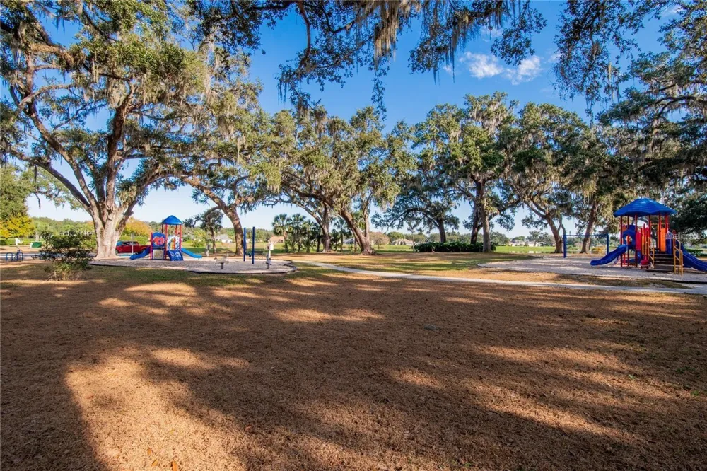 4810 WATER LARK WAY Valrico, FL 33596