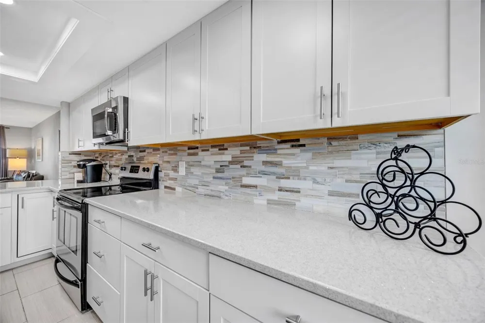 4620 BAY BOULEVARD #1117 Port Richey, FL 34668