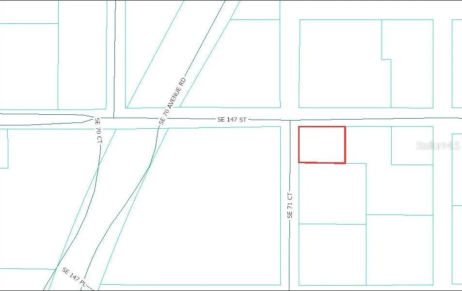 TBD SE 147TH STREET Summerfield, FL 34491