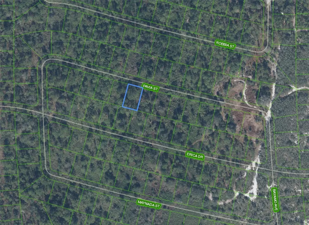 8655 PAVIA STREET Sebring, FL 33872