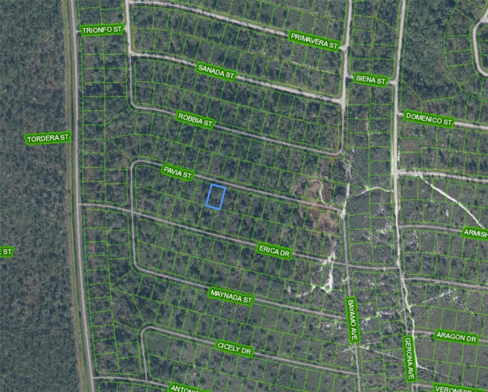 8655 PAVIA STREET Sebring, FL 33872