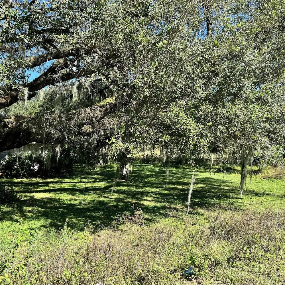 4504 E COUNTY ROAD 540A Lakeland, FL 33813