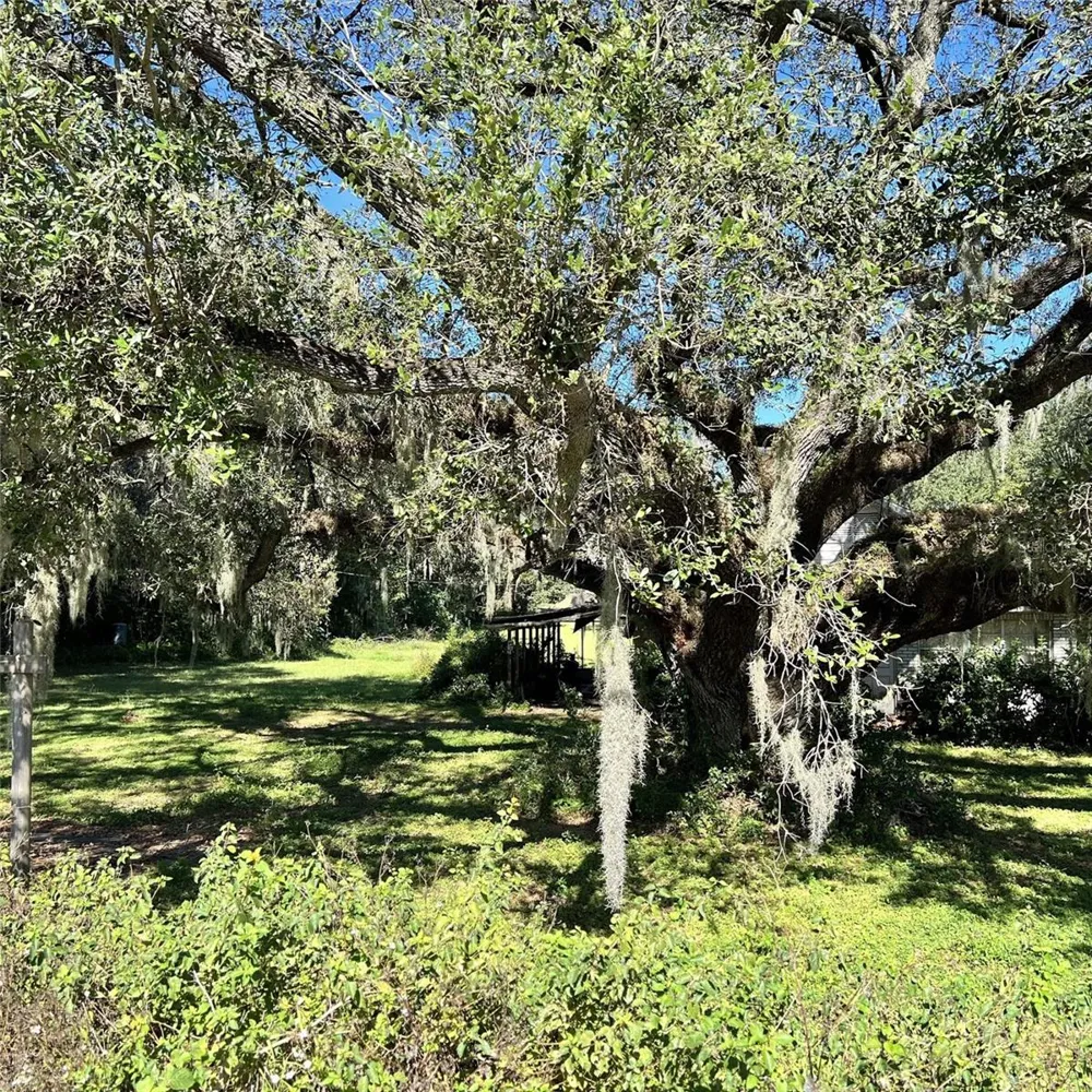 4504 E COUNTY ROAD 540A Lakeland, FL 33813