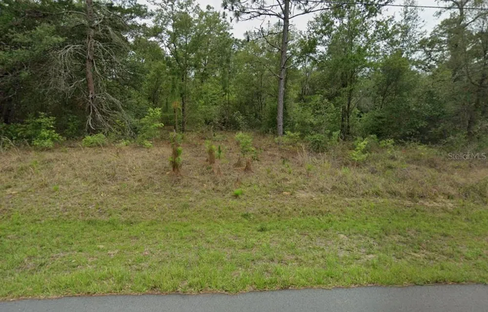 3054 W HAMLET PLACE Citrus Springs, FL 34433