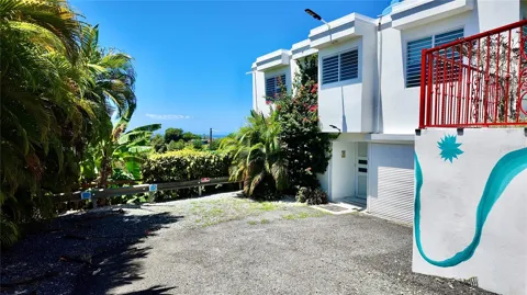 412 CARR EL COQUI