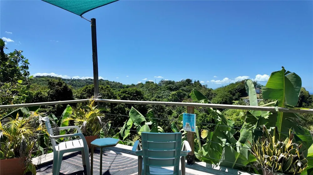 412 CARR EL COQUI Rincon, PR 00677