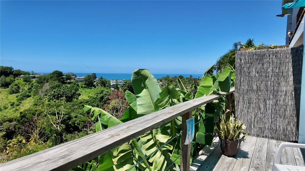 412 CARR EL COQUI Rincon, PR 00677