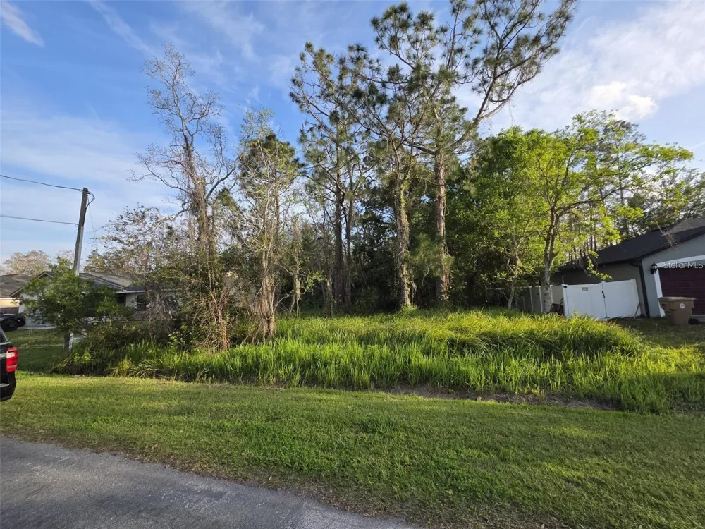 CANNOCK DRIVE Kissimmee, FL 34758