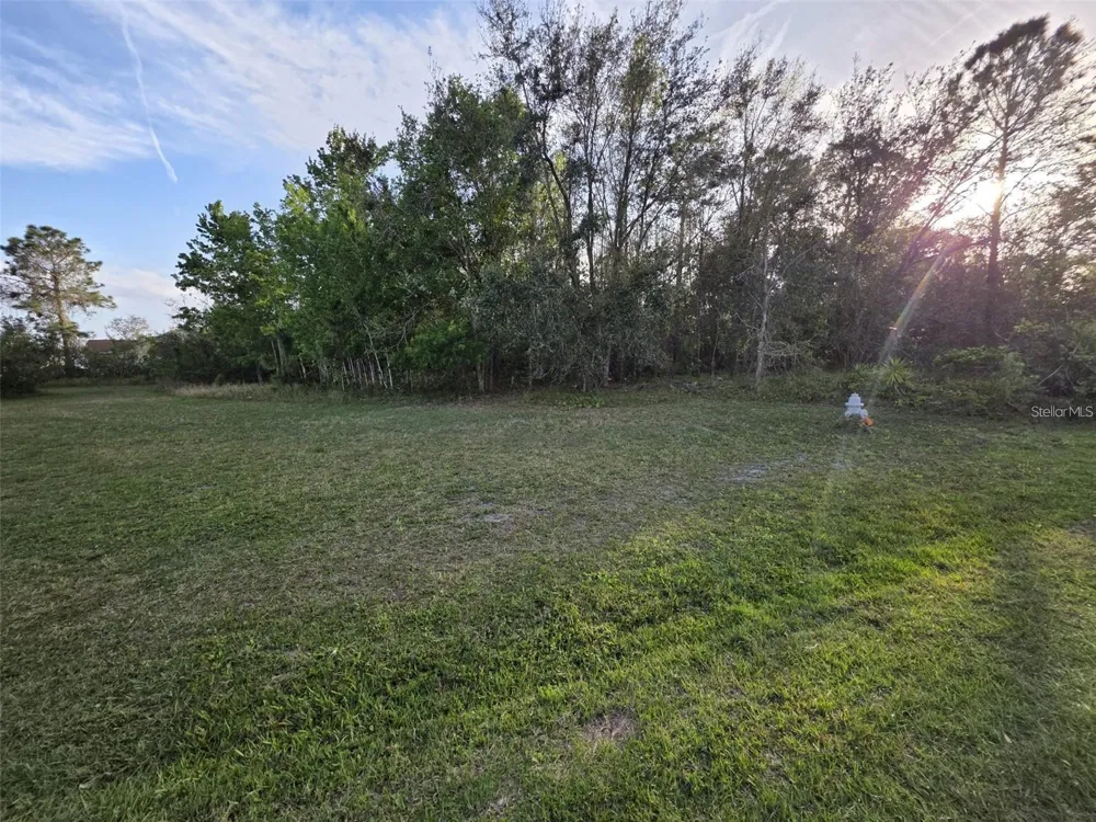 CANNOCK DRIVE Kissimmee, FL 34758