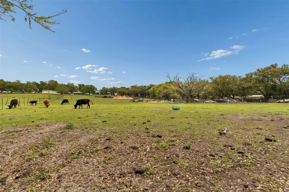 8302 WIRE ROAD Zephyrhills, FL 33540
