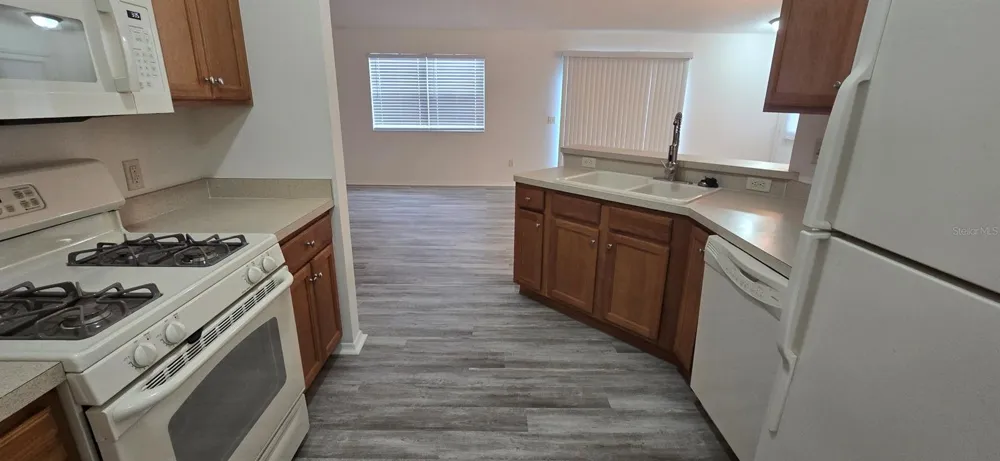 1009 RIDGEVILLE ROAD The Villages, FL 32162