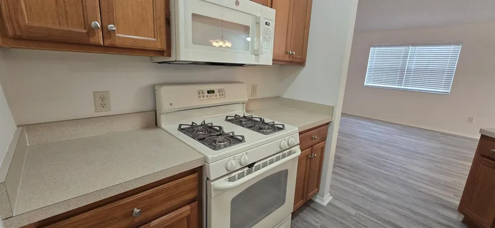 1009 RIDGEVILLE ROAD The Villages, FL 32162