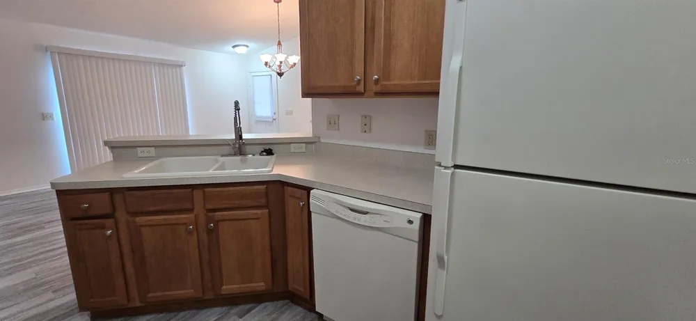1009 RIDGEVILLE ROAD The Villages, FL 32162
