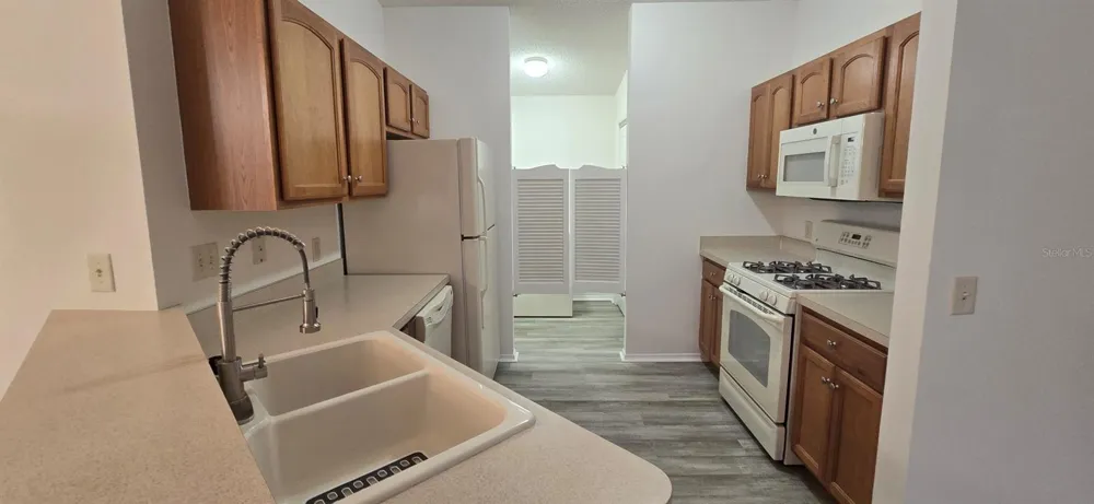 1009 RIDGEVILLE ROAD The Villages, FL 32162