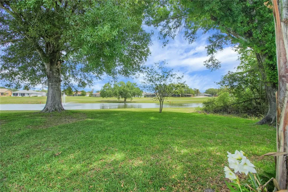333 RANCHWOOD DRIVE Leesburg, FL 34748