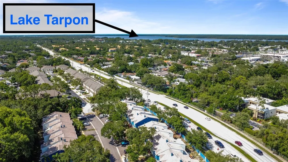 3350 FOX HUNT DRIVE Palm Harbor, FL 34683