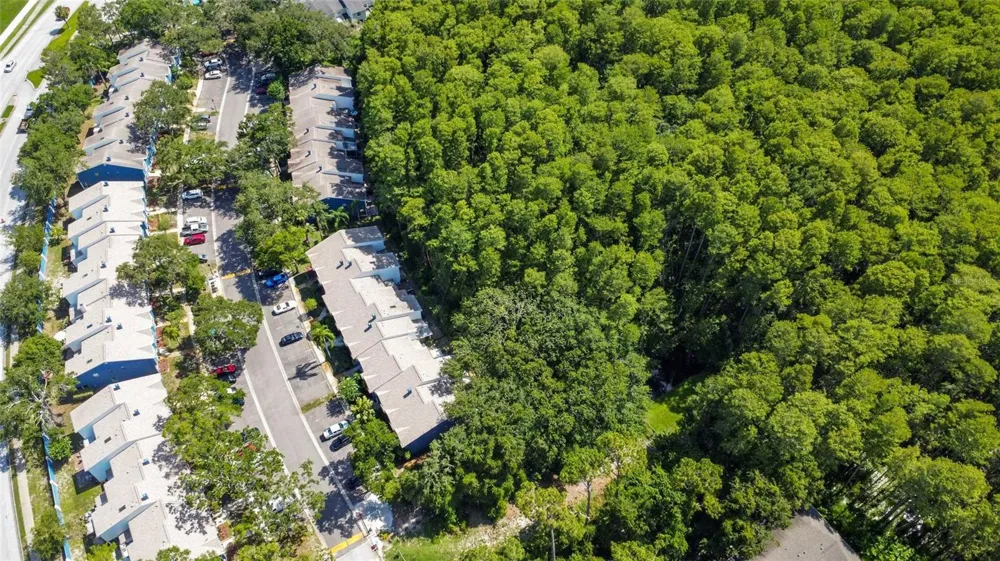 3350 FOX HUNT DRIVE Palm Harbor, FL 34683