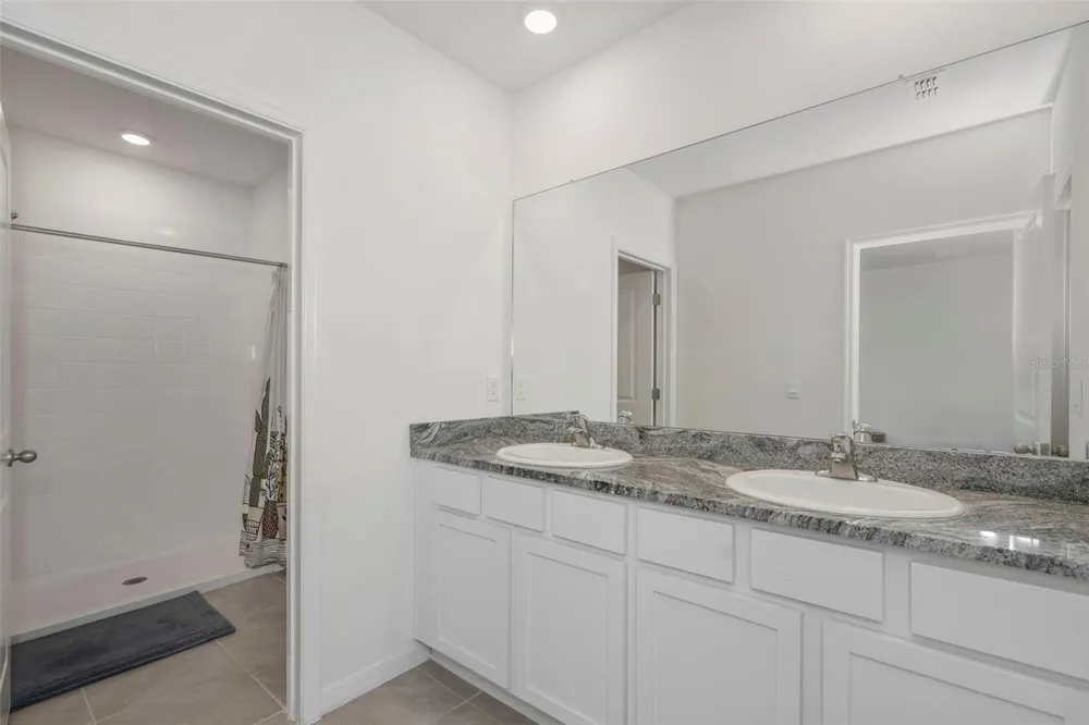 17226 AMBER ASPEN WAY Land O Lakes, FL 34638