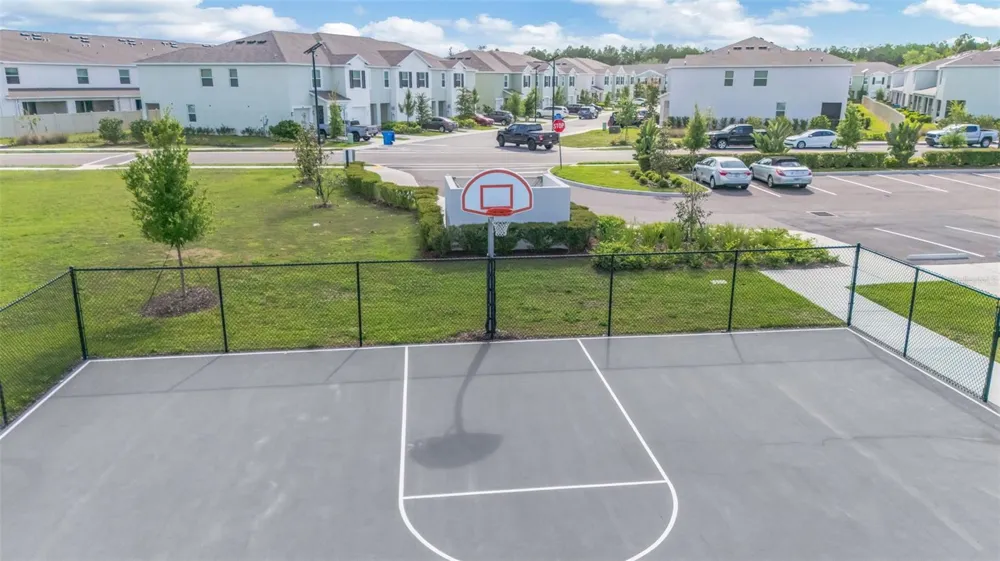 17226 AMBER ASPEN WAY Land O Lakes, FL 34638