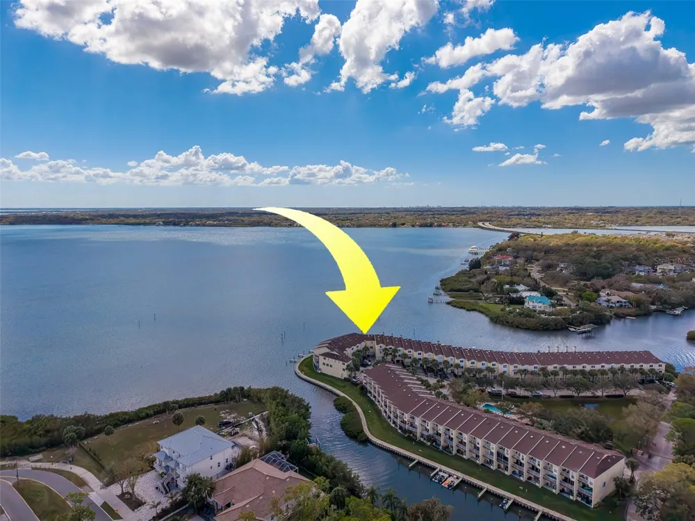 138 BRENT CIRCLE Oldsmar, FL 34677