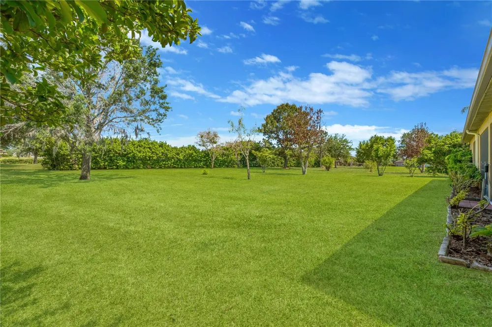 9313 LISBON STREET Seffner, FL 33584
