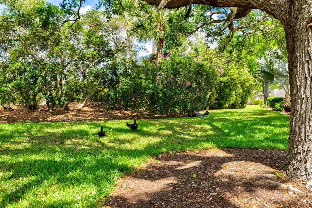 4566 HIDDEN VIEW PLACE #7 Sarasota, FL 34235