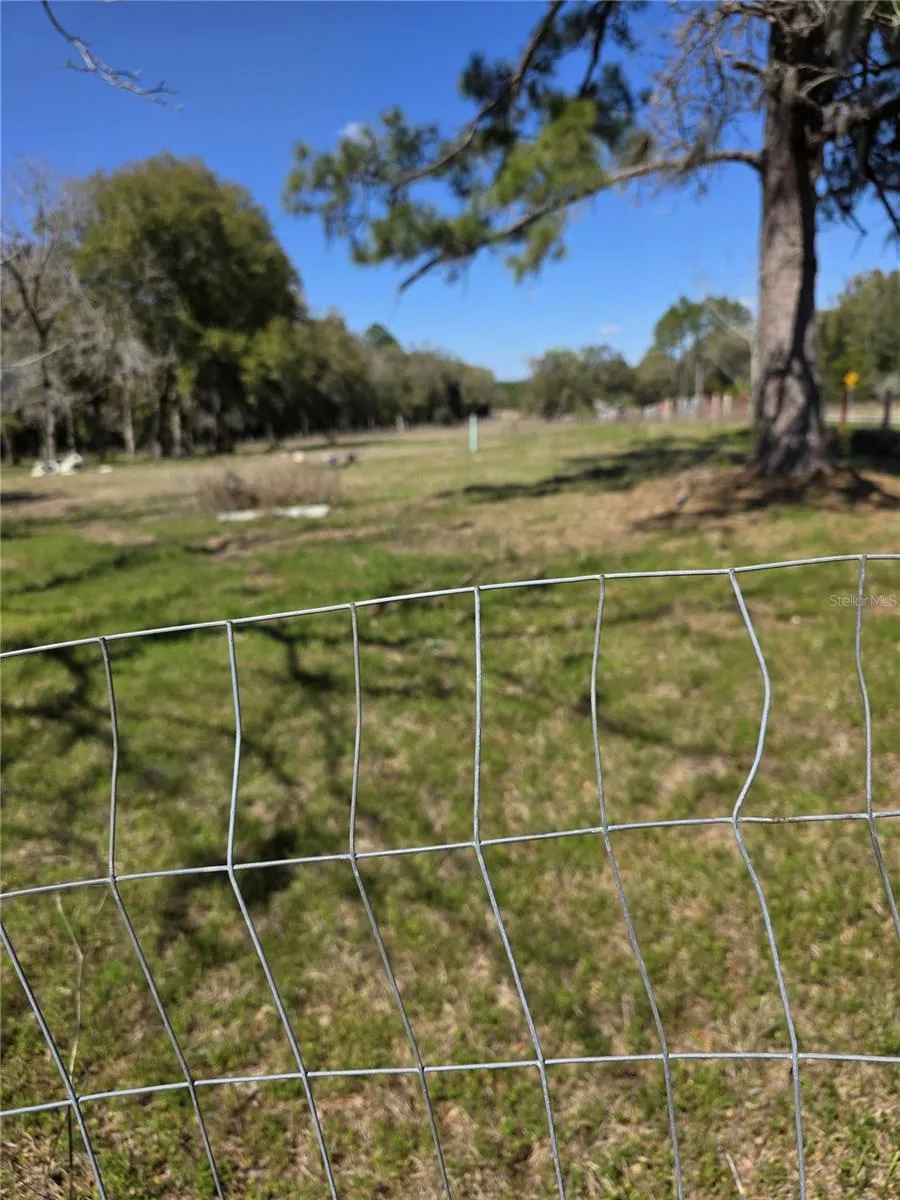 5950 NE HIGHWAY 41 Williston, FL 32696