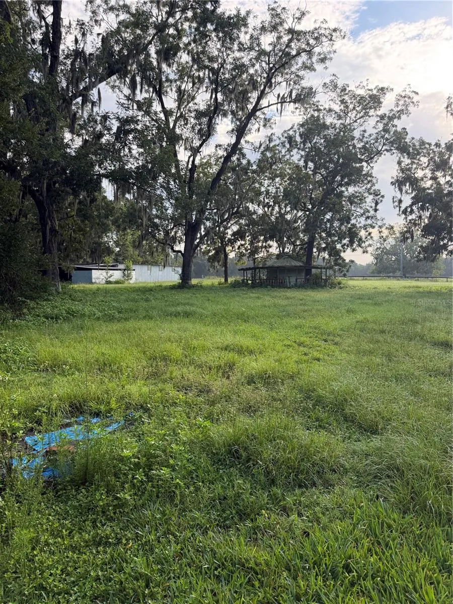 5950 NE HIGHWAY 41 Williston, FL 32696