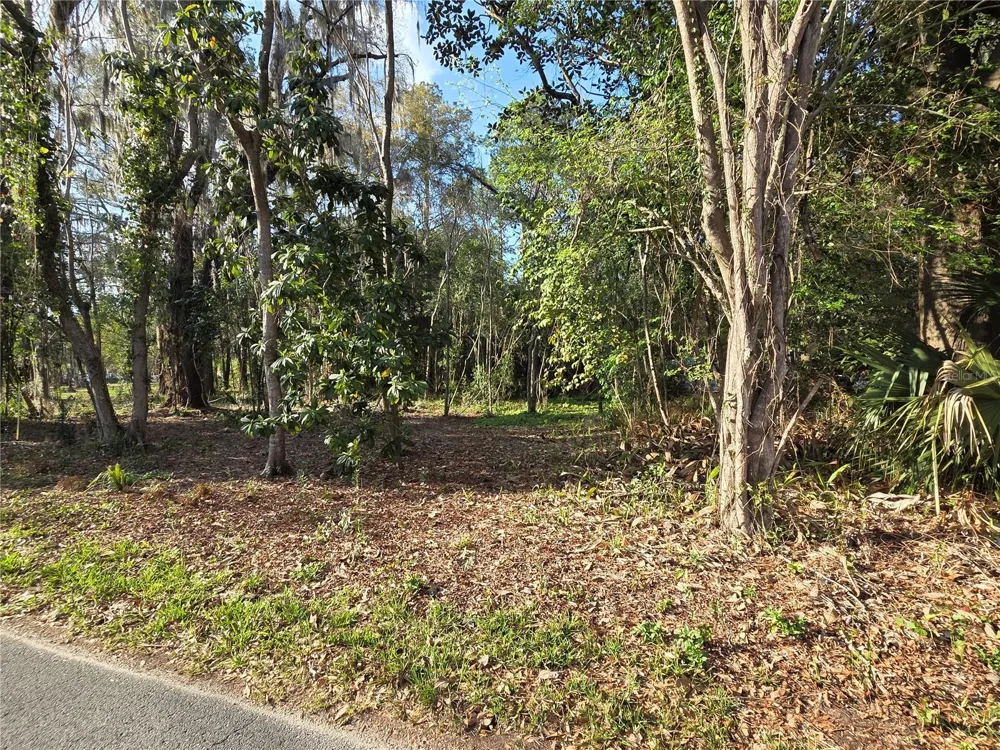 (Parcel 3) 214 NE 13TH AVENUE Gainesville, FL 32601