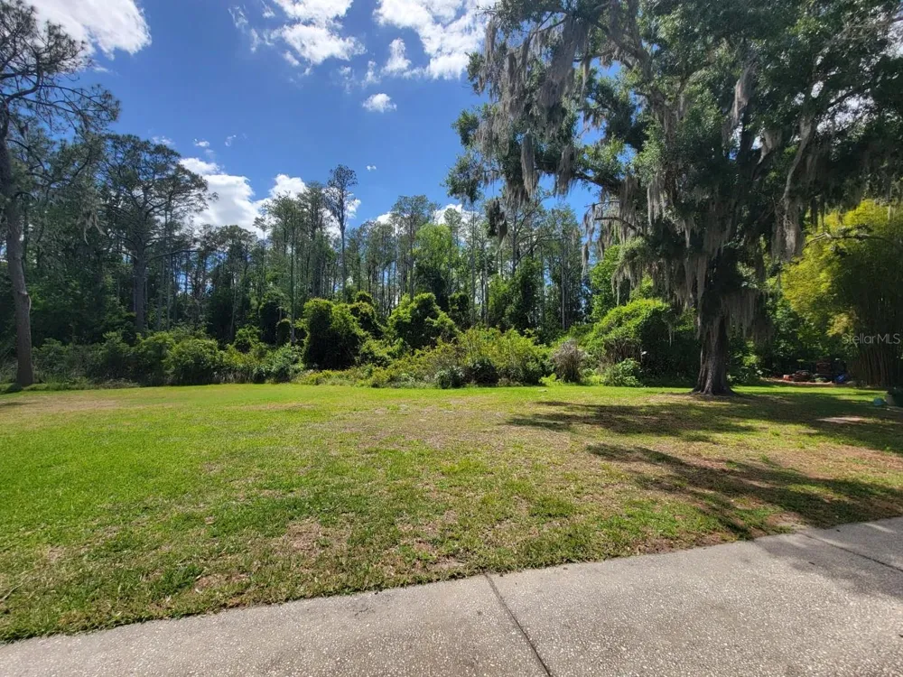 1761 CUPECOY CIRCLE ## N-7 Lutz, FL 33558