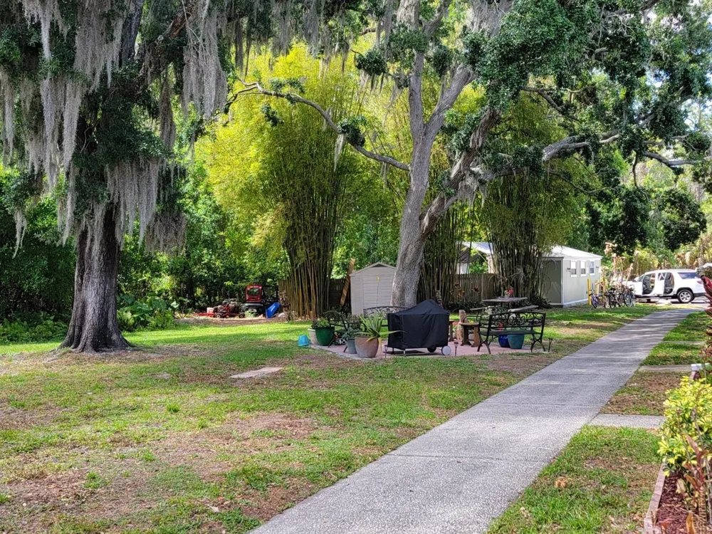 1761 CUPECOY CIRCLE ## N-7 Lutz, FL 33558