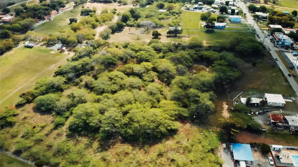 BO. COROZO, COMBATE,  CARR. 301 KM HM 7.0 Cabo Rojo, PR 00623