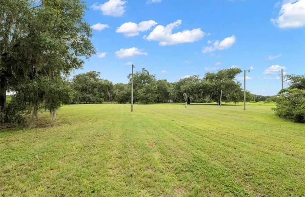 9028 MCKENDREE ROAD Wesley Chapel, FL 33545