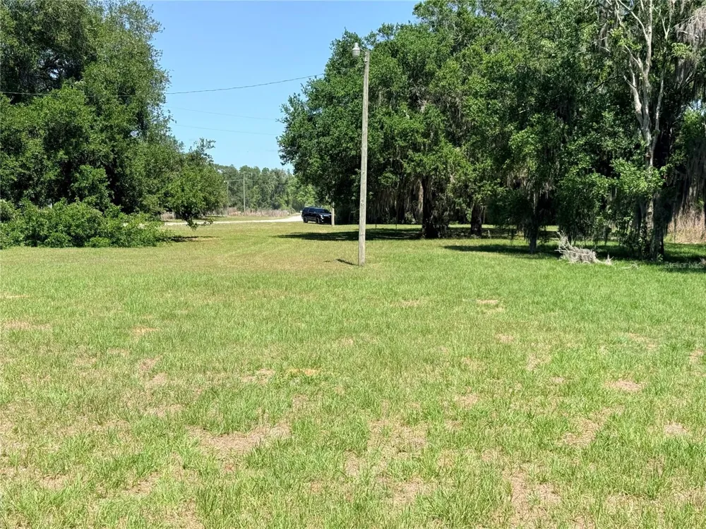 9028 MCKENDREE ROAD Wesley Chapel, FL 33545