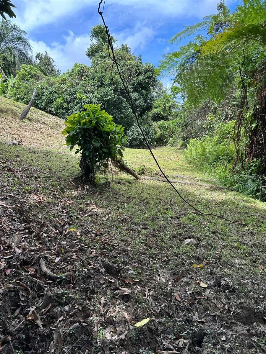 PR 9989 INT Luquillo, PR 00773