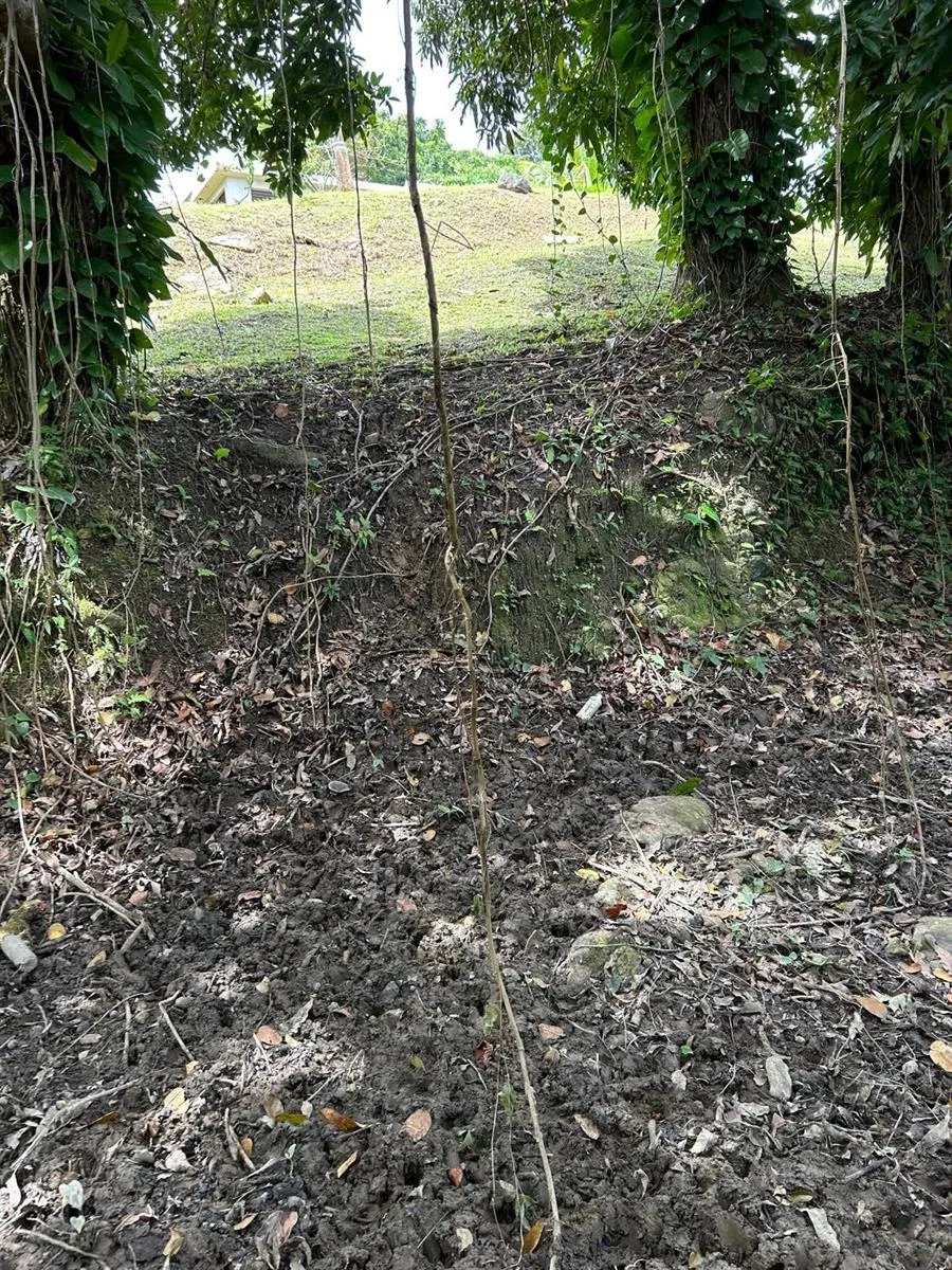 PR 9989 INT Luquillo, PR 00773