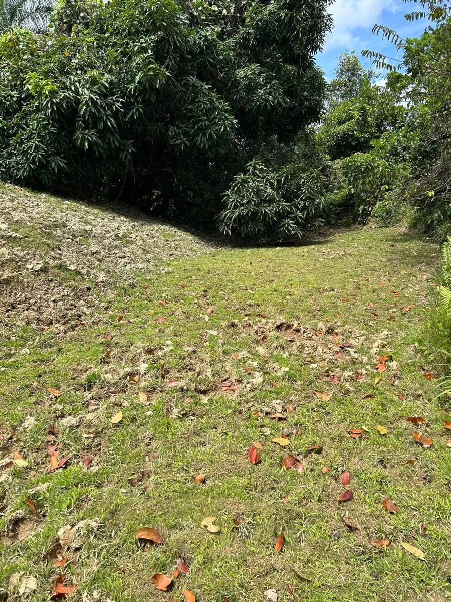 PR 9989 INT Luquillo, PR 00773
