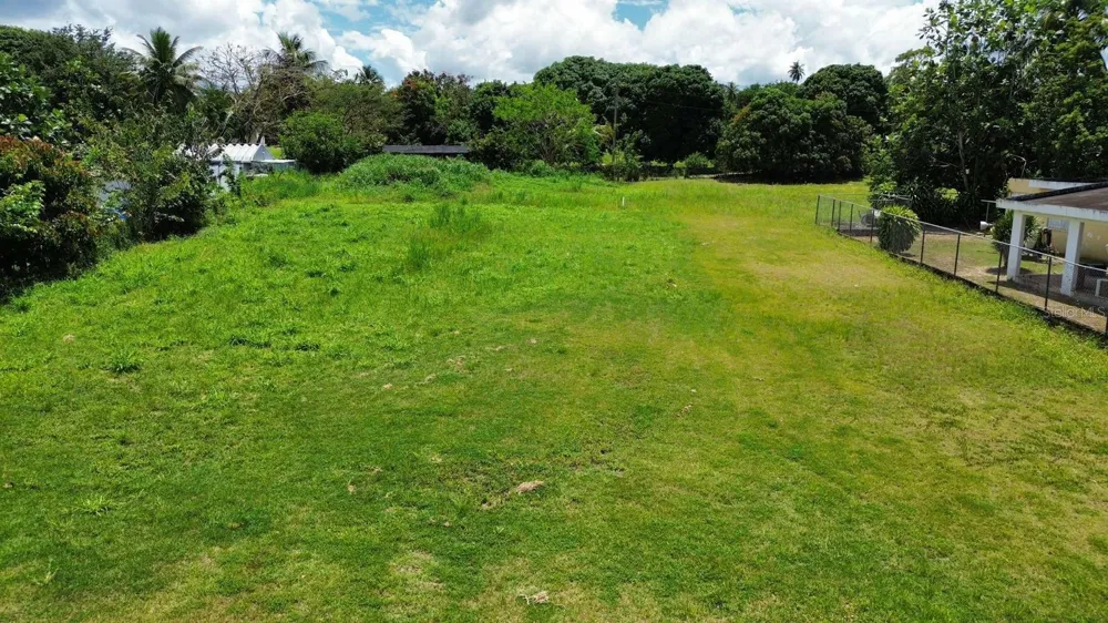 BO COTO NORTE, SECTOR GUAYANEY, MANATI Manati, PR 00674