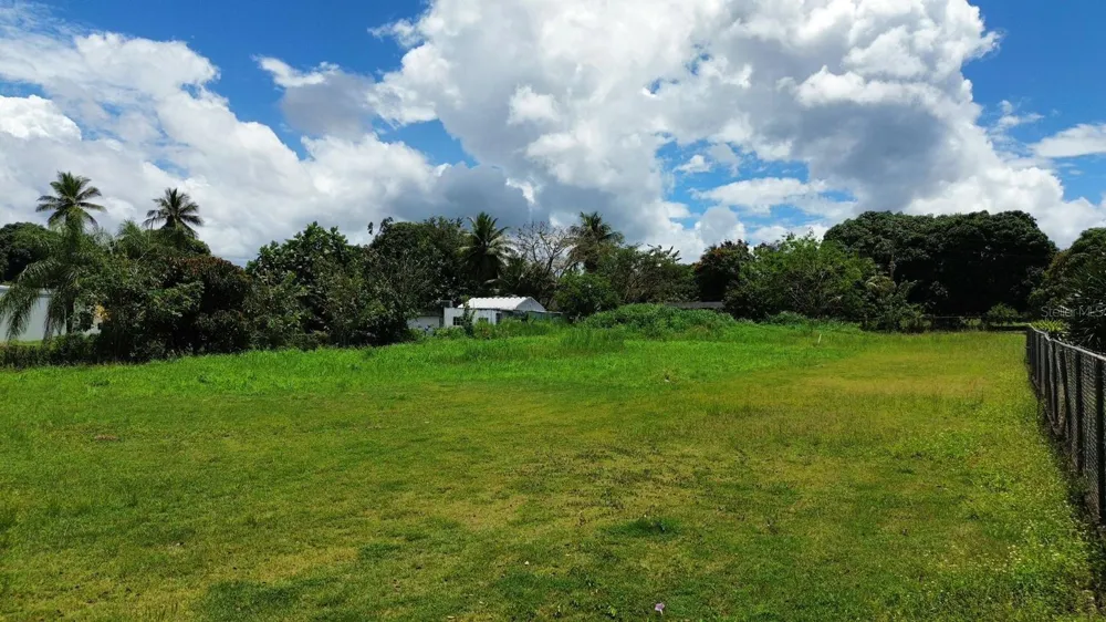 BO COTO NORTE, SECTOR GUAYANEY, MANATI Manati, PR 00674
