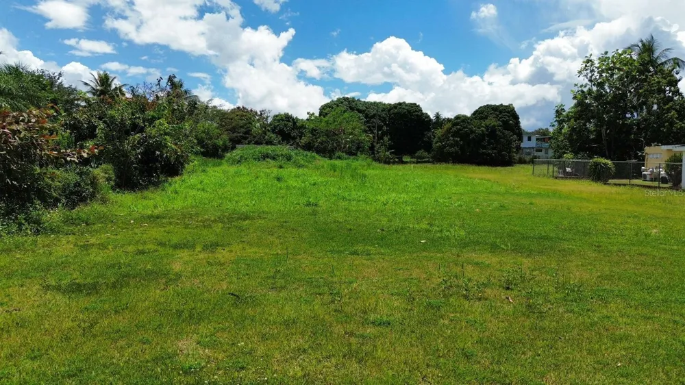 BO COTO NORTE, SECTOR GUAYANEY, MANATI Manati, PR 00674