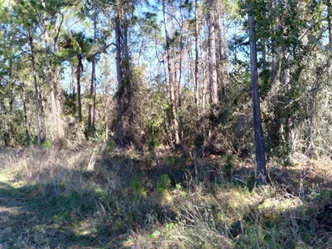 POYNER ROAD