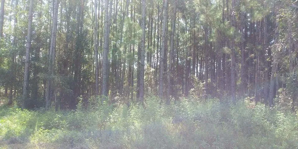 POYNER ROAD Polk City, FL 33868